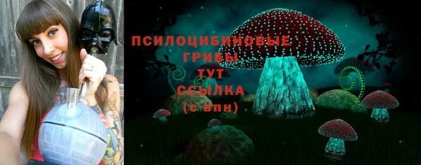 соль курить ск Пестово