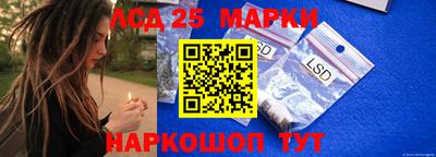 гидра Заводоуковск