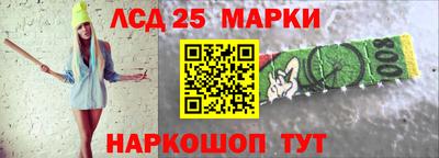 гидра Заводоуковск