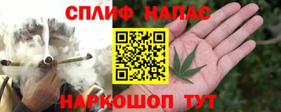 гидра Заводоуковск