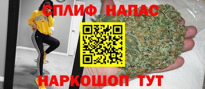 гидра Заводоуковск