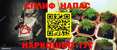 mdma Жуковский