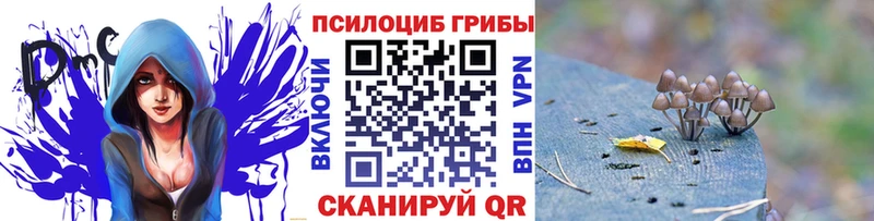 блэк спрут как зайти Лабытнанги Псилоцибиновые грибы Magic Shrooms