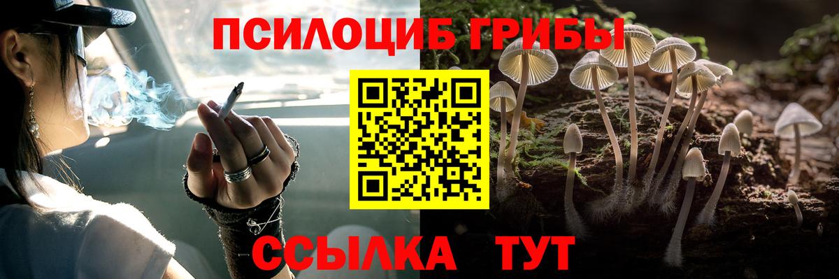 Лабытнанги  Галлюциногенные грибы прущие грибы  Вход с VPN  Галлюциногенные грибы Cubensis 